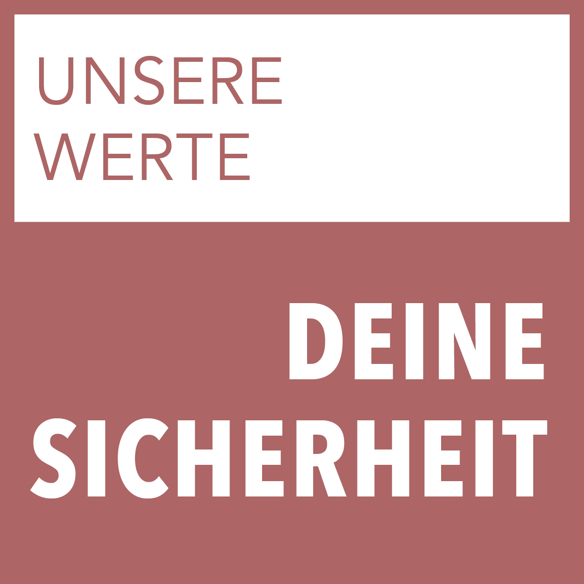 Kompetenz Cube_rot