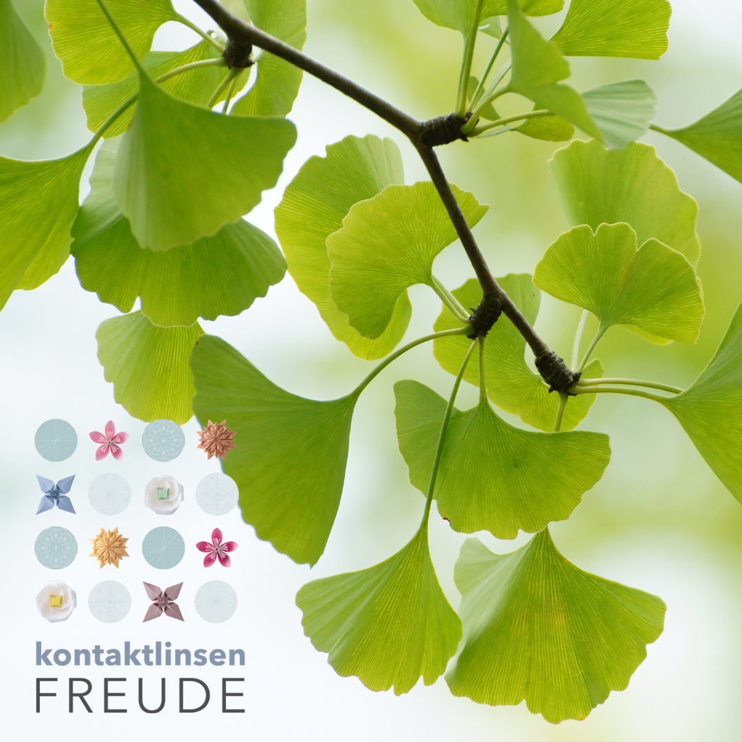 Ginko_kontaktlinsenFREUDE_logo