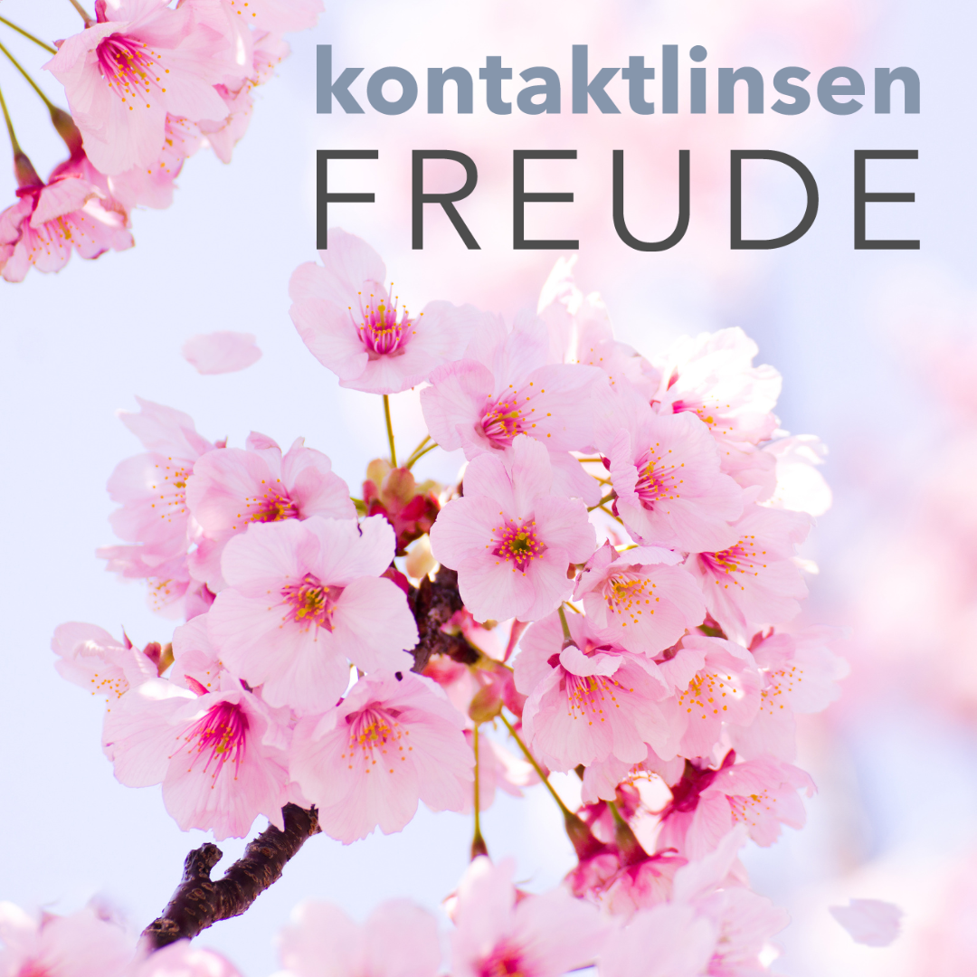 Kirschbluete_kontaktlinsenFREUDE